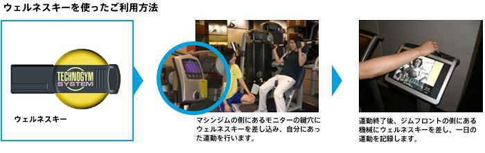 キネシス